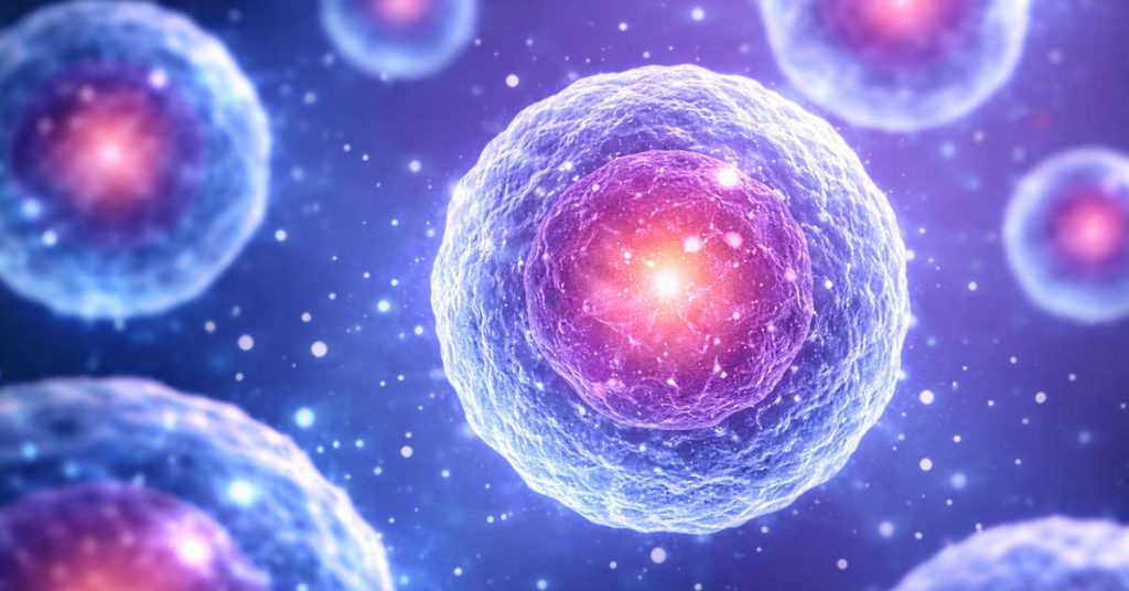 Tratamento com células-tronco na ortopedia: o que é realidade no Brasil